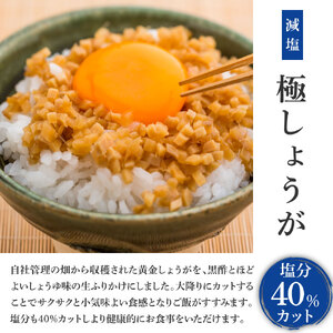 減塩味付け極しょうが110g×5袋 