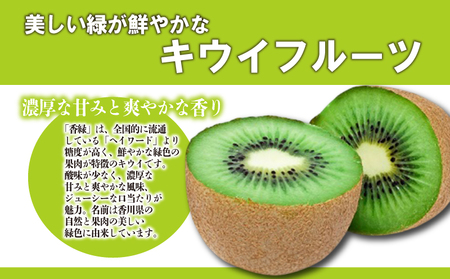 先行予約 キウイ 香緑 約3.3kg キウイ 配送：11月下旬～1月中旬