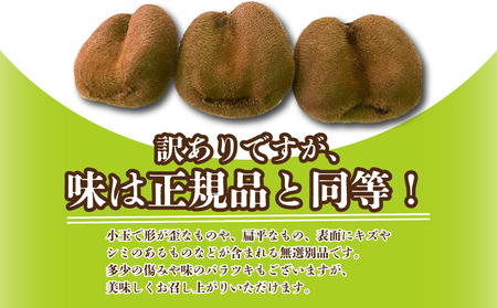 先行予約 訳あり キウイ 香緑 約2.5kg キウイ 配送：12月～1月下旬