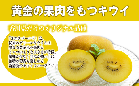 先行予約 さぬきゴールドキウイ 約2kg キウイ 発送：10月下旬～12月中旬 