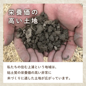 【 令和8年産 】 米 白米 5kg アキサカリ