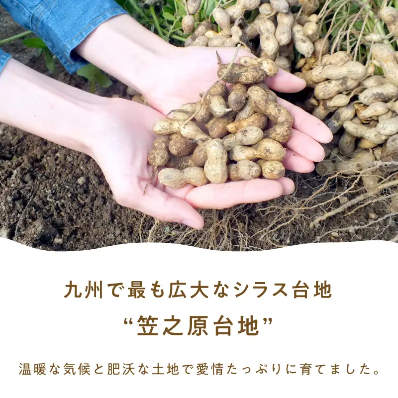 2811 むきみ煎り 落花生（150g×2袋）と、から付き煎り 落花生（150g×3袋）のセット 計750g KN070-002-03 ピーナッツ 豆