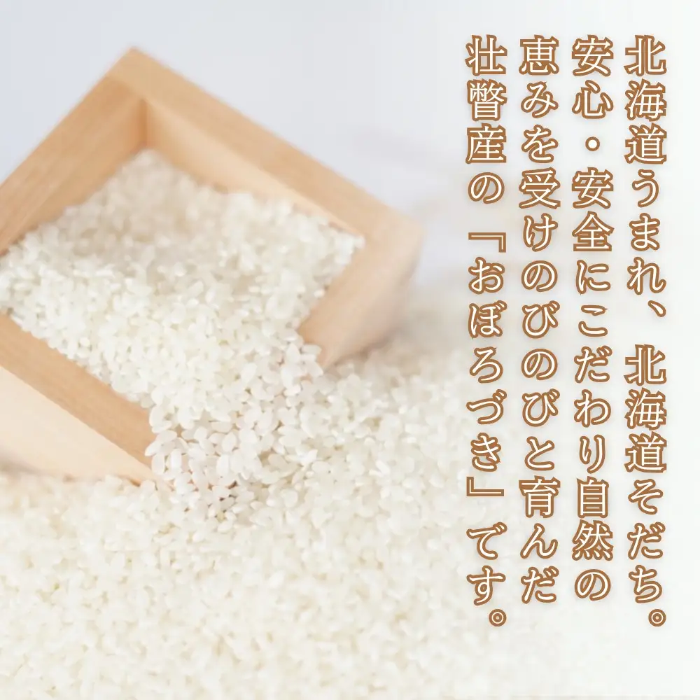 【令和8年産新米】あのさんちの美味しいお米 「おぼろづき」 精米5kg ＜10月中旬よりお届け＞ SBTL017