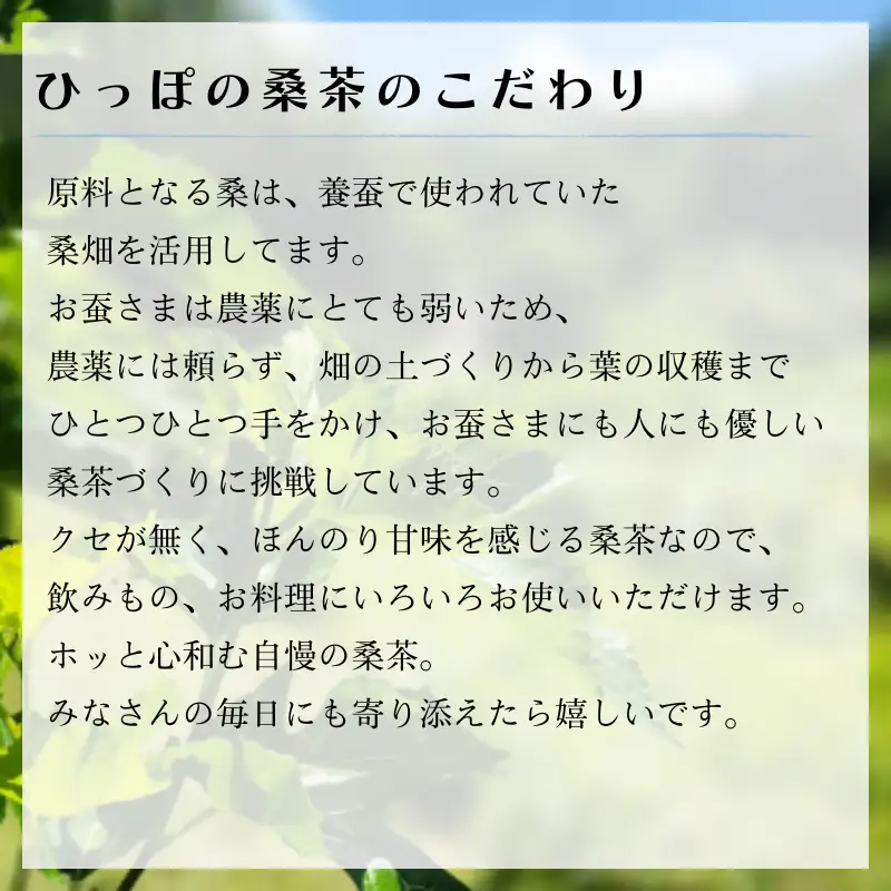 ひっぽの桑茶3袋セット【09108】