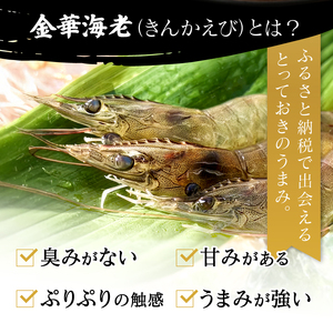 岐阜県池田町産 金華海老 250g×4パック 計1kg 海老 エビ えび 【配送不可：離島】