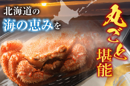 ボイル毛がに540～650g×1尾 B-11120