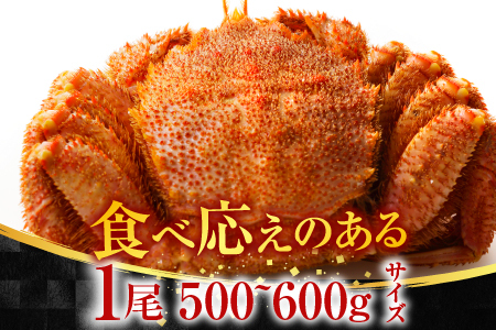 ボイル毛がに500～600g×2尾 F-11030