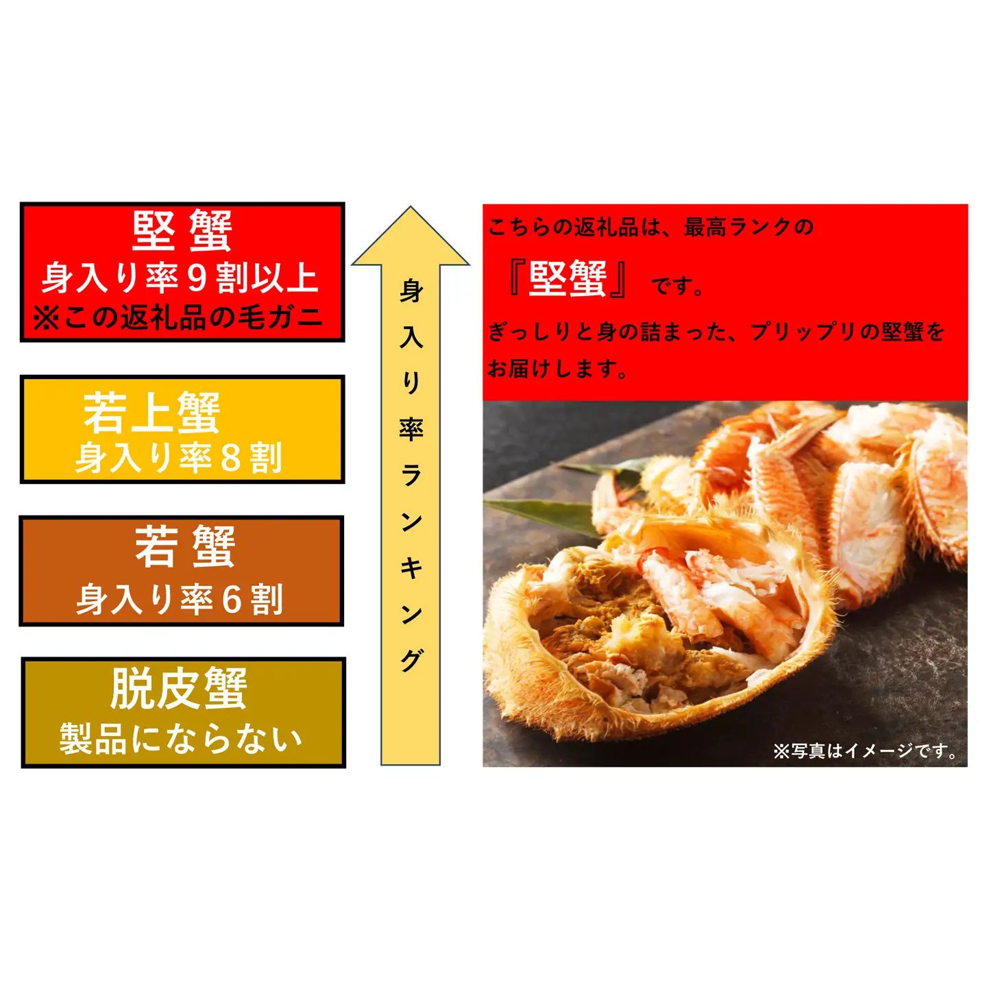 ボイル毛がに700～900g×1尾(堅蟹) C-14059