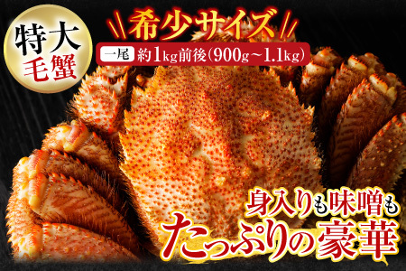 ボイル毛がに900g～1.1kg×1尾 F-14029