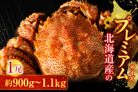 根室海鮮市場＜直送＞ボイル毛がに900g～1.1kg×1尾 F-28029