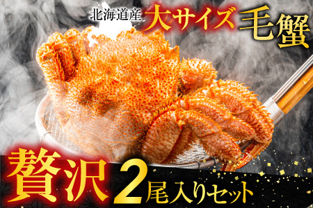 根室海鮮市場＜直送＞ボイル毛がに700～900g×2尾 D-28055