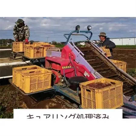 【12月より順次発送予定】山一ファーム 熟成貯蔵 さつまいも 5kg 紅はるか(S～Lサイズ)【配送不可地域：離島・沖縄県】【1647853】