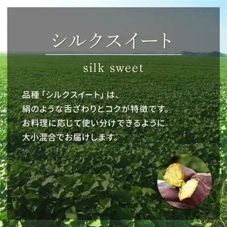 さつまいも「シルクスイート」5kg【1185796】