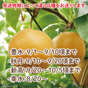 【数量限定】もぎりたての梨！3kg！一番旬の品種をお届け！（幸水・豊水・秋月・新高いずれか1品種）【茨城県共通返礼品/石岡市】（KR-3）