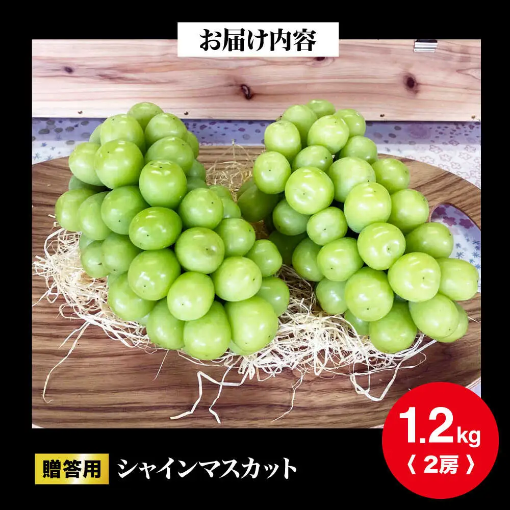 シャインマスカット 約1.2kg [APCR003] シャインマスカット