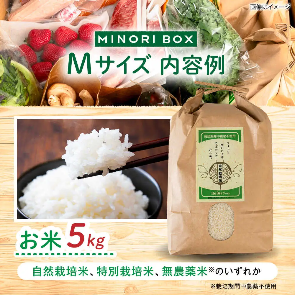 【全4回定期便】糸島産 肉 米 野菜 果物 厳選詰め合わせ MINORI BOX Mサイズ【季節ごとに年4回お届け】 糸島市 / emma.Inc / 米 肉 野菜 果物 詰め合わせ [AOP002]