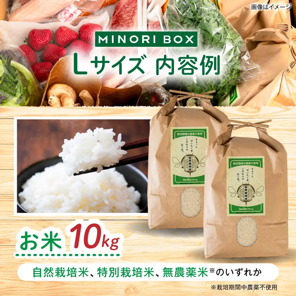 【全4回定期便】糸島産 肉 米 野菜 果物 厳選詰め合わせ MINORI BOX Lサイズ【季節ごとに年4回お届け】 糸島市 / emma.Inc / 米 肉 野菜 果物 詰め合わせ [AOP003]