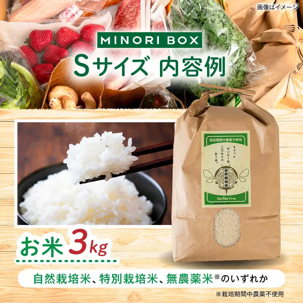 【全4回定期便】 糸島産 魚 米 野菜 果物 厳選詰め合わせ MINORI BOX Sサイズ【季節ごとに年4回お届け】　糸島市 / emma.Inc / 米 魚 野菜 詰め合わせ [AOP004]