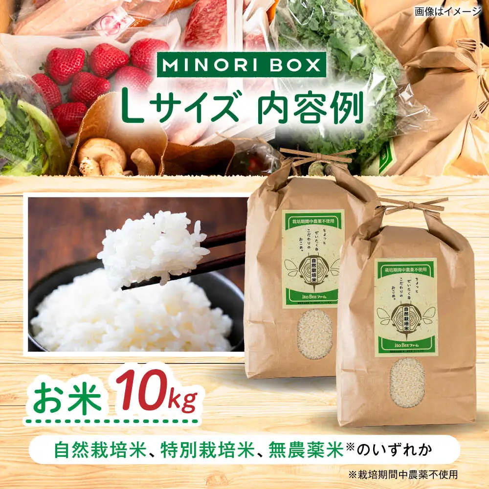 【全4回定期便】 糸島産 魚 米 野菜 果物 厳選詰め合わせ MINORI BOX Lサイズ【季節ごとに年4回お届け】　糸島市 / emma.Inc / 米 魚 野菜 果物 詰め合わせ [AOP006]