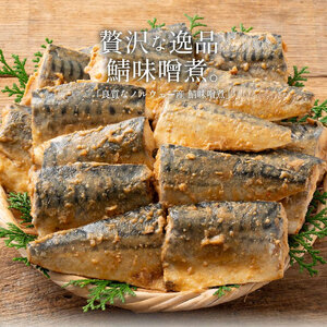 さば 味噌煮 10枚入り