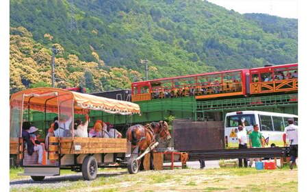 京馬車で行くトロッコ亀岡駅から保津川下り乗船場コース チケット 子ども（4歳から12歳まで） 1枚