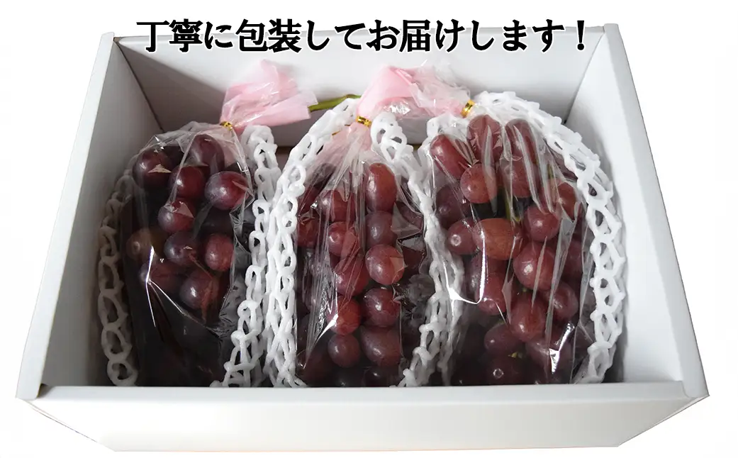 【数量限定】クイーンセブン ３～４房（1.2～1.5kg）