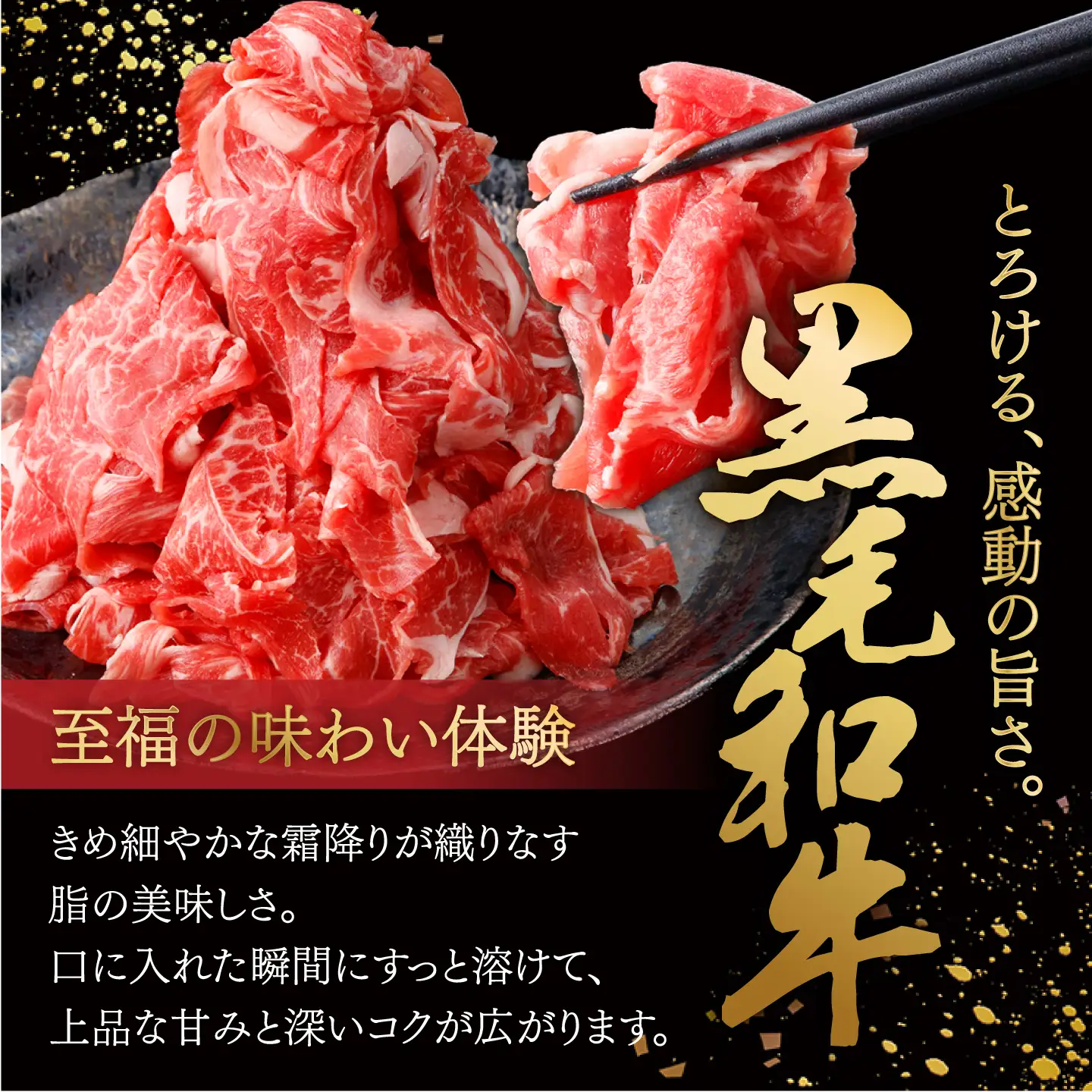 牛肉切り落とし500g [SBA094] 