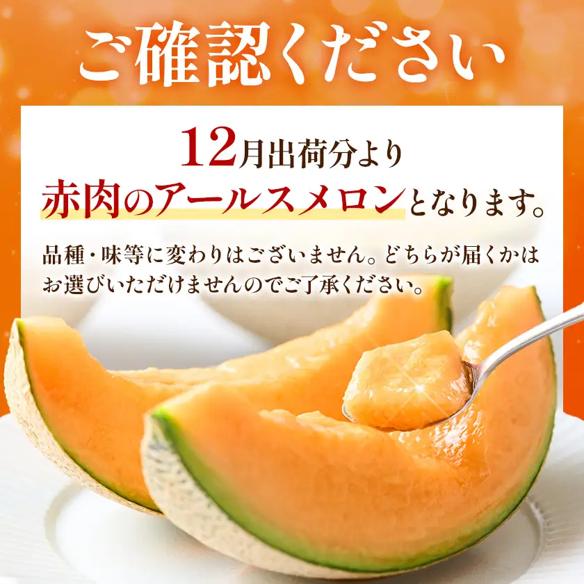 アールスメロン 1玉 4L～5Lサイズ メロン《9月上旬-12月上旬頃出荷》熊本県 菊池市 果物 フルーツ 青果物 菊池市産 熊本県産 九州産 国産 送料無料