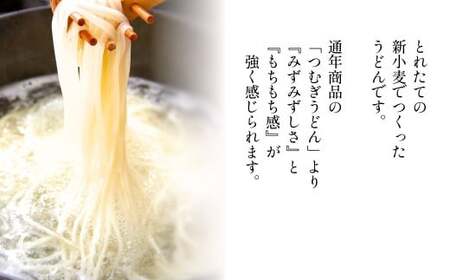 【期間限定12月まで】つむぎや 新小麦うどん 110g×15袋 | うどん 乾麺