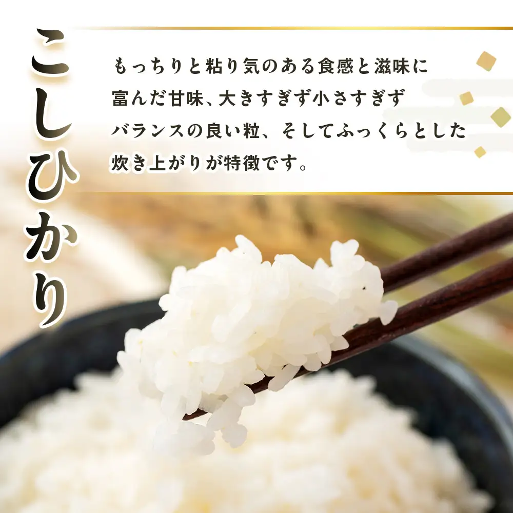 【復興支援】【令和7年度産】奥能登柳田米こしひかりM4（2kg、450g×3）合計3.35kg