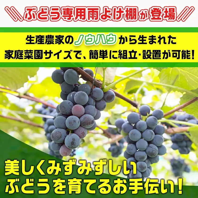 葡萄の雨よけ棚セット〔55-J405〕_(都城市) 葡萄の雨よけ棚セット ぶどう専用雨よけ棚セット 南榮工業 家庭菜園サイズ 簡単組立・設置 農業用ビニール使用 鉄パイプ使用