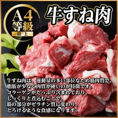 飛騨牛 厳選牛すね肉(スネ肉) 角切り 1.5kg(500g×3)訳あり【配送不可地域：離島】【1649911】