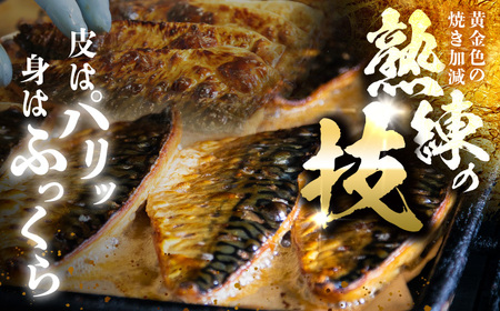焼き鯖フィーレ 半身 骨なし 5枚×2パック 【脂がのった鯖 解凍してすぐ食べられる！】 / サバ 鯖 さば 冷凍 小浜市 / 若廣 【配送不可地域：北海道・沖縄・離島】[BFAM012]