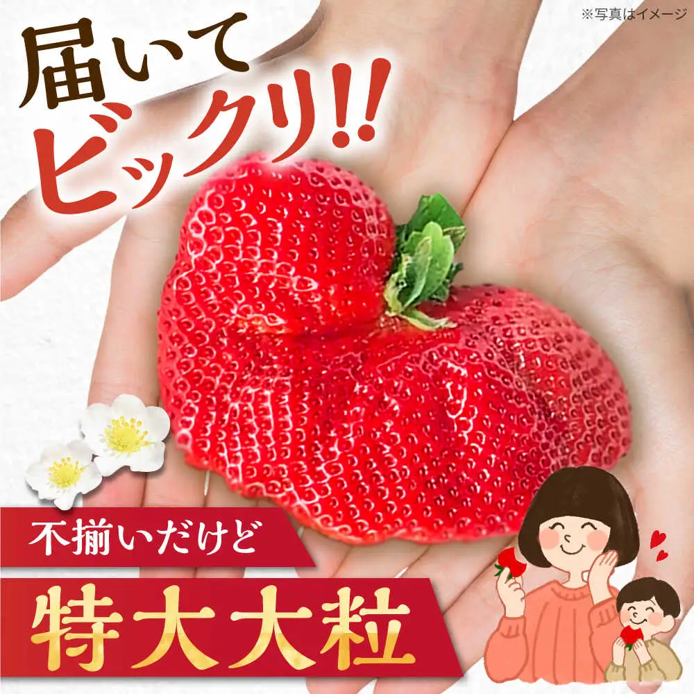 【先行予約】【1~4月発送】農家直送 大玉 大粒あまおう[VAB023]あまおう