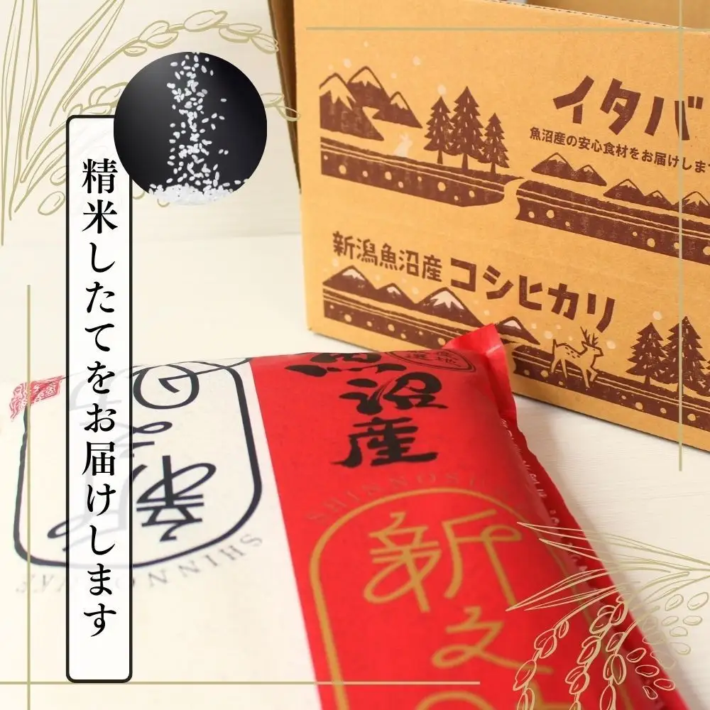 12ヶ月定期便 中魚沼産「新之助(しんのすけ)」5kg 有限会社イタバ |津南町 魚沼 令和7年