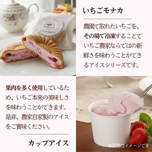 いちごのアイスセット 2種 計8個 いちご もなか アイス