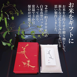 令和8年産 新米 きぬむすめ 6kg(約300g×4袋×5セット) ギフト 《2026年11月以降発送》