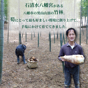京たけのこをまるまる1本 白子京筍 冷凍 1本1kg たけのこ
