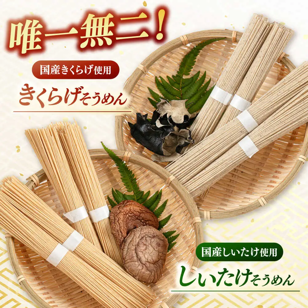 しいたけ素麺ときくらげ麺のセット（各2食分） ADBA017 素麺 そうめん 人気