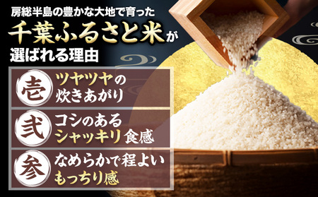  千葉ふるさと米 5kg ブレンド米 スピード発送