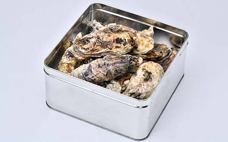冷凍牡蠣のガンガン焼き 1.5kg 北海道噴火湾産 海産物 加工品 ほたて 帆立 ホタテ 魚介類 海鮮 森町 ふるさと納税 mr1-0982