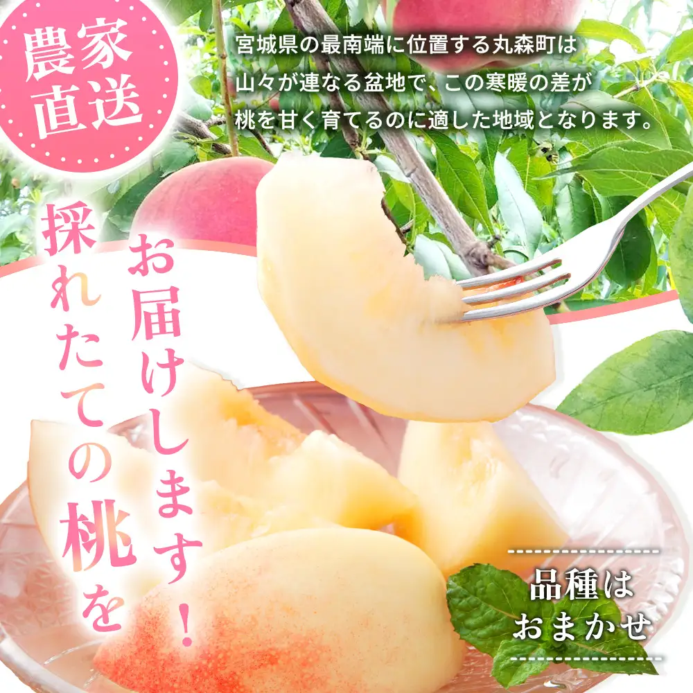 【先行予約】《7月中旬～9月中旬出荷》 宮城県丸森町産 桃 5～8玉（約2kg）【4800401】