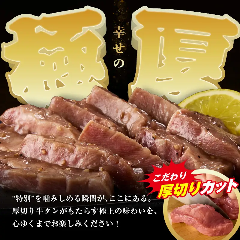 【定期便3回】訳あり 厚切り塩だれ牛タン500g_牛タン