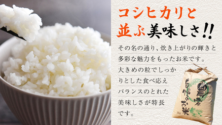 ＜ 新米 ＞ 令和7年産 茨城県産 玄米 にじのきらめき 5kg 【2025年9月下旬より発送開始】 お米 ごはん 家庭用