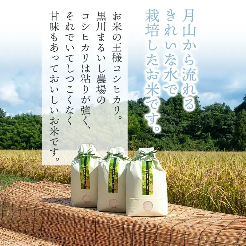 【令和7年産】 黒川まるいし農場の特別栽培米コシヒカリ玄米　5kg 　山形県鶴岡市産　K-734　| こしひかり 5キロ 米どころ 庄内米 ブランド米 米 コメ こめ 玄米 ご飯 ごはん 美味しい お取り寄せ 農家直送 東北 国産 おすすめ 人気 返礼品