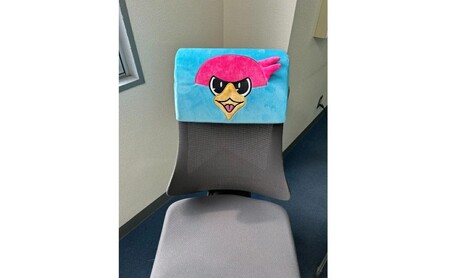 クッション サガン鳥栖 デスククッション クッション