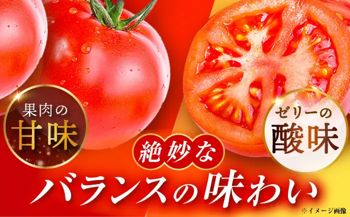 王様トマト 約4kg  [AUDS002]トマト