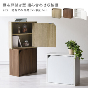 【完成品でお届け】木製収納ボックス〔薄型タイプ〕（オーク）キューブボックス 扉付き 棚付き カラーボックス 木製 本棚 薄型 約 幅35 小物 漫画 コミック 収納ボックス キューブ 型 隠す収納 棚 収納箱 LKANET300243-0-OAK