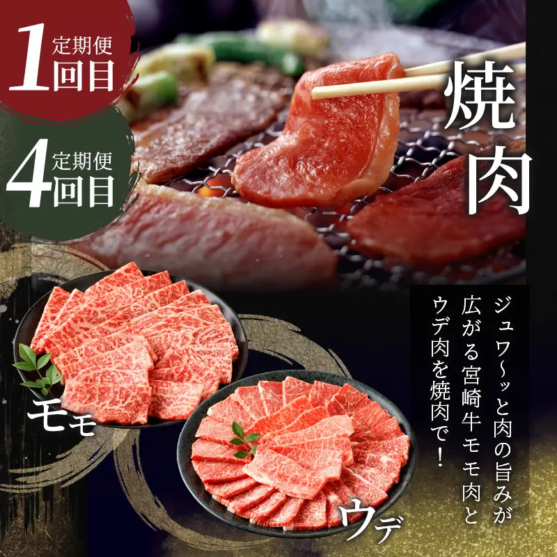 6か月お楽しみ定期便『宮崎牛よくばりセット』総重量4.8kg 肉 牛 牛肉 おかず 国産_T030-1846
