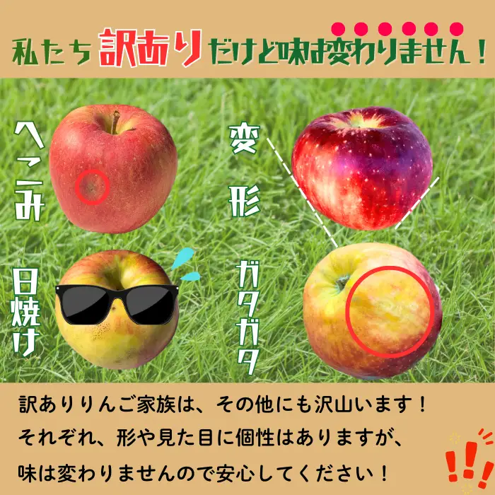 【先行予約│2026年12月中旬より順次発送】訳あり サンふじ 【約5kg(11〜23玉)】│長野県 飯山市 直送(At-036) 